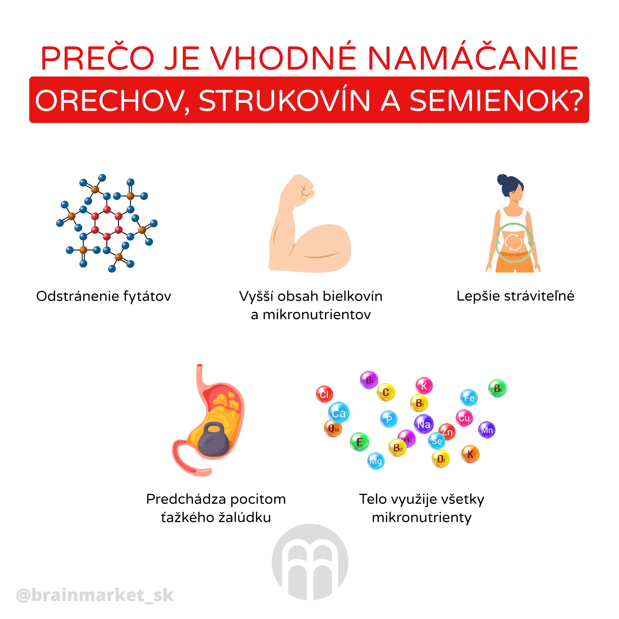 namaceni_orechu,_seminek_infografika_brainmarket_cz